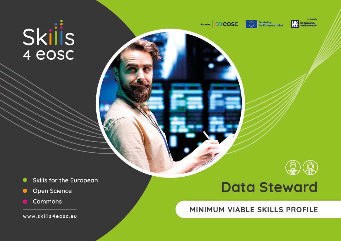 Data Steward: Minimum Viable Skills Profile